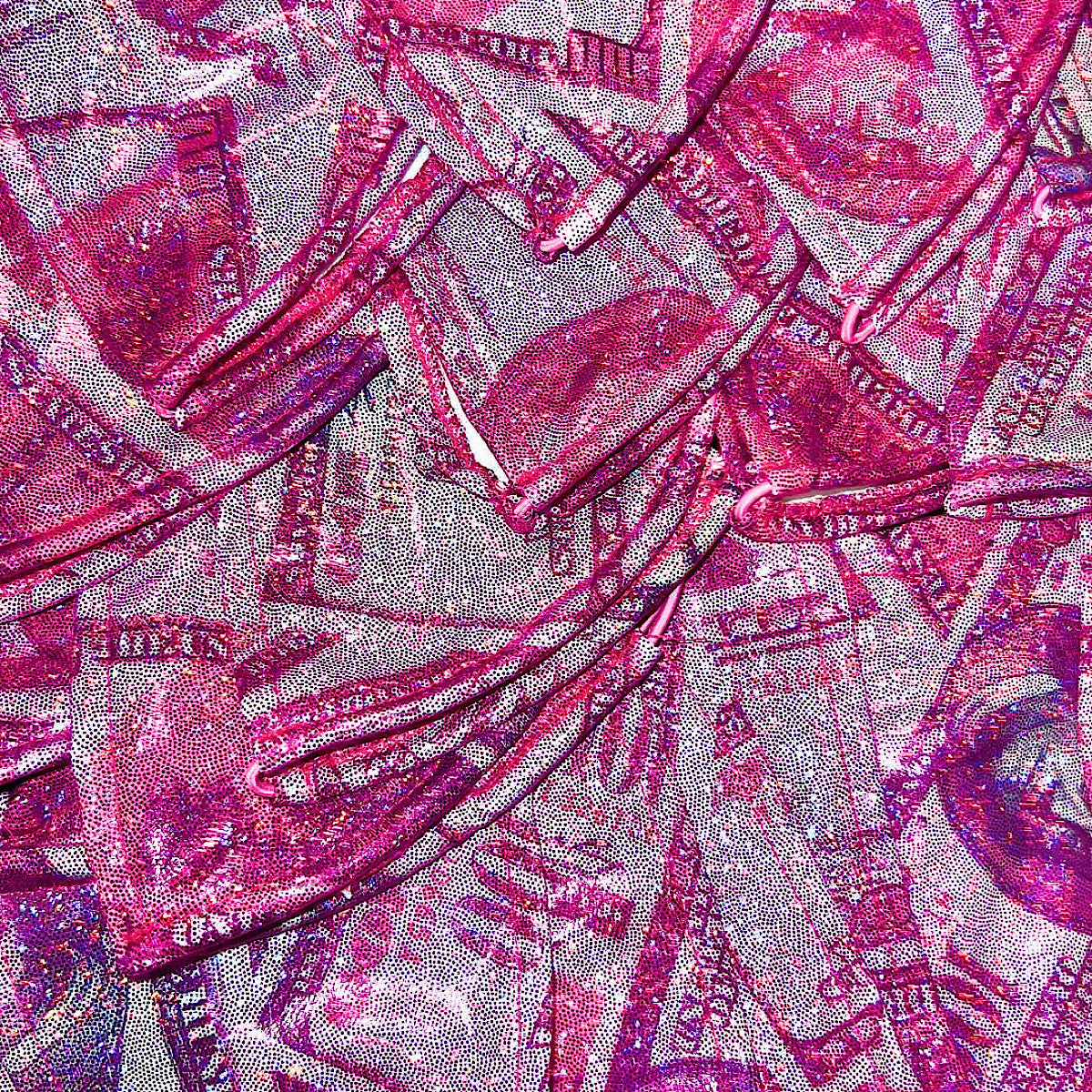 ACE Tieable Microkini: HU$TLER Sparkly Money Pink