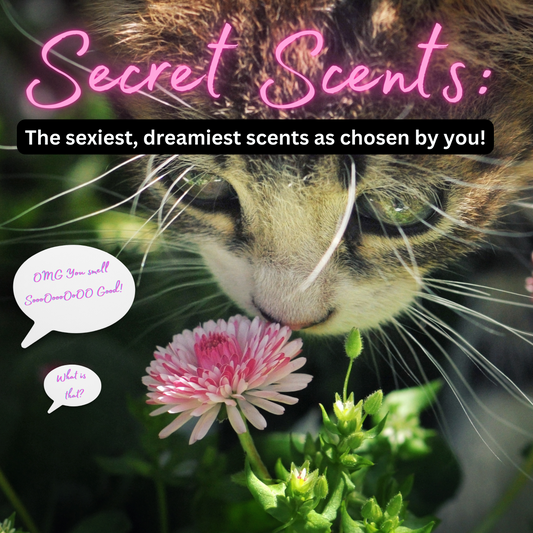 Secret Scents: The Sexiest, Dreamiest Perfumes for Work as Chosen by You <3