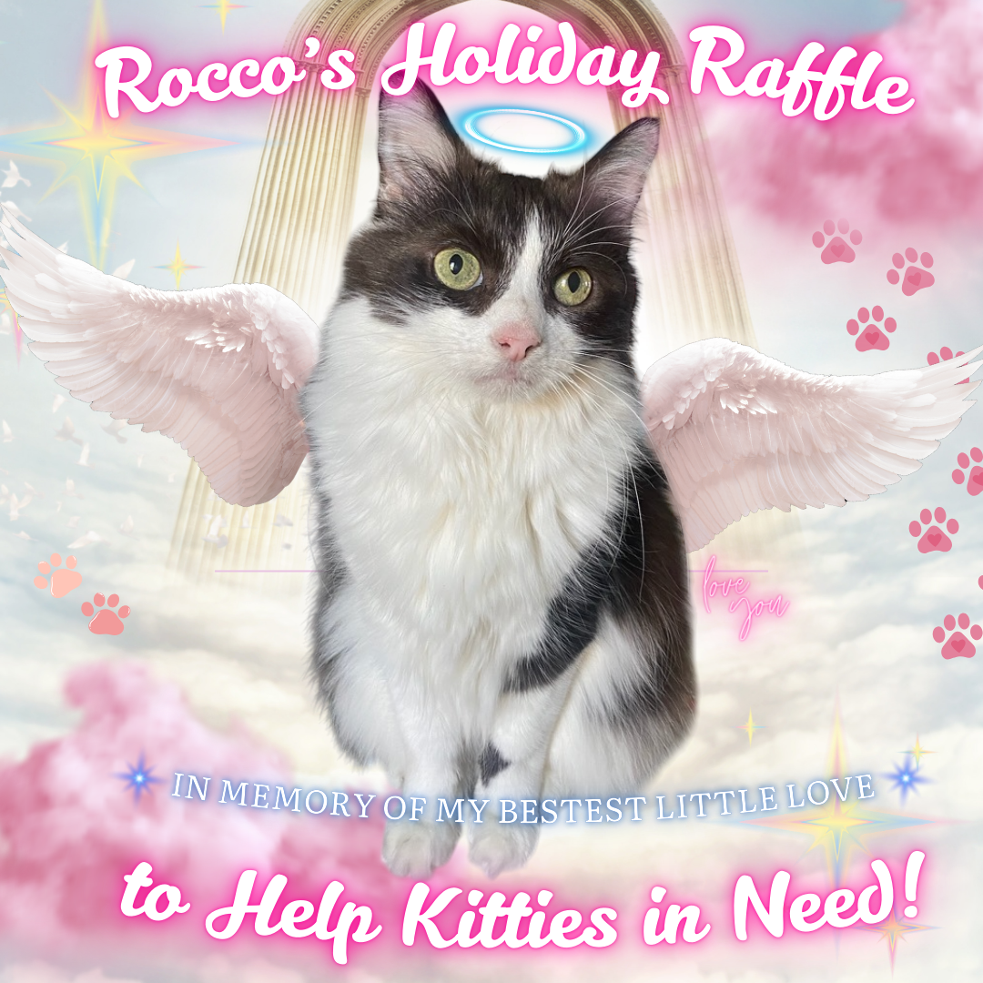 WIN  A $500 GIFT CARD & Support Lil' Kitties in need! 🐱